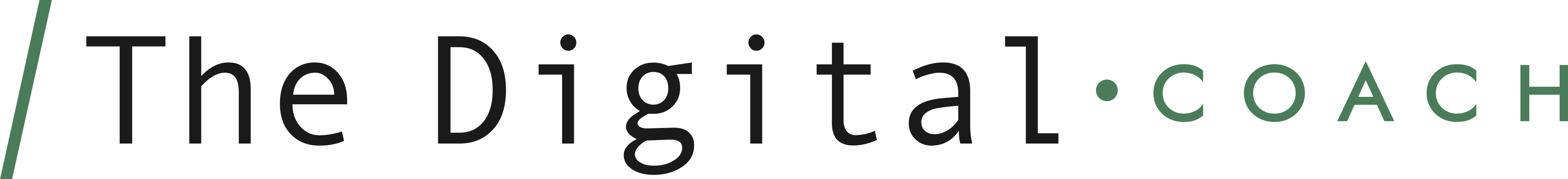 The Digital Coach